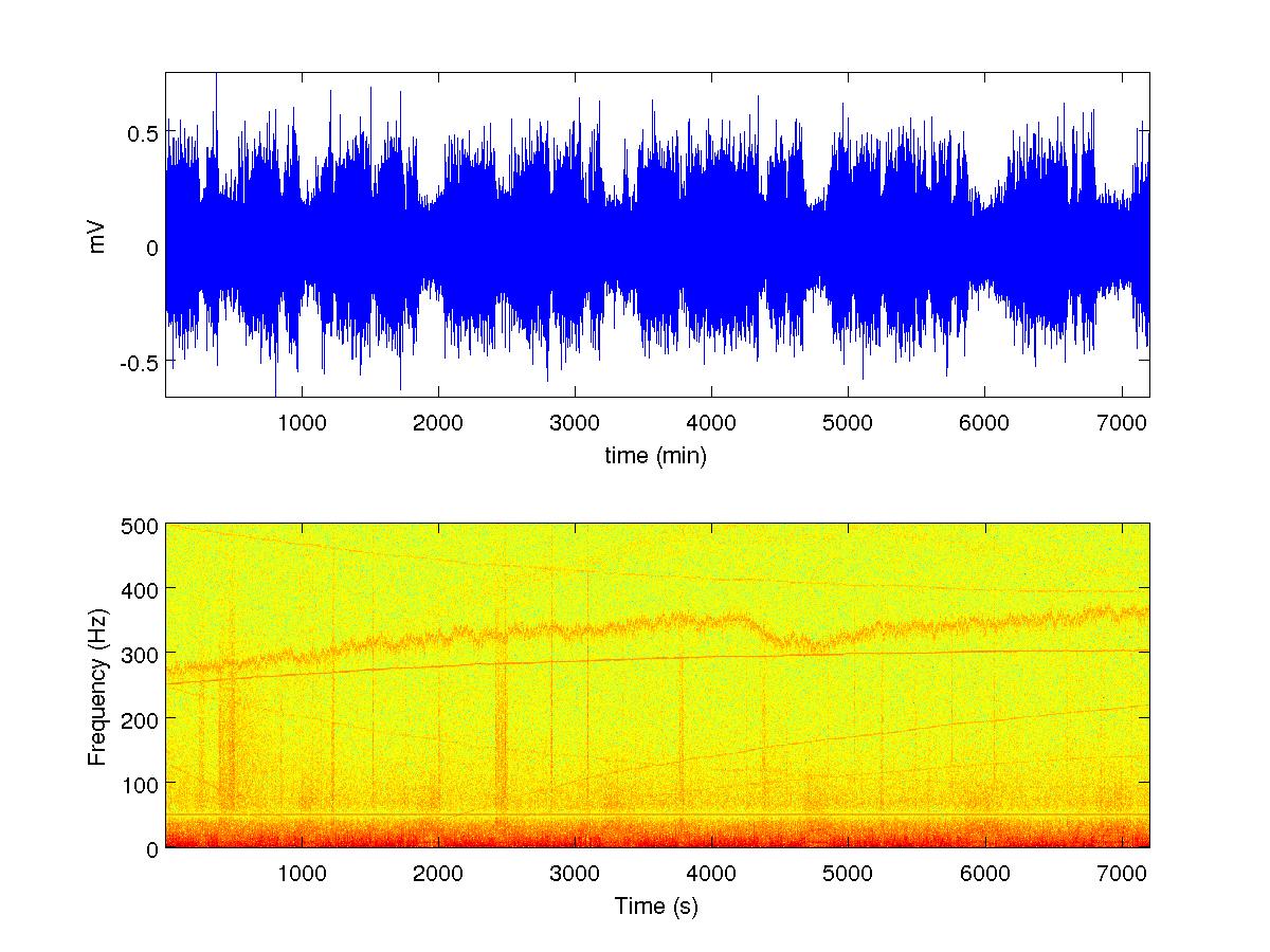 spectrogram